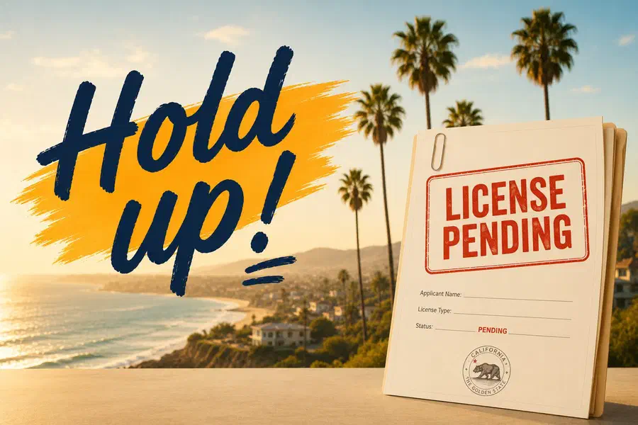 California coastal backdrop with a License Pending application and bold "Hold up!" headline.